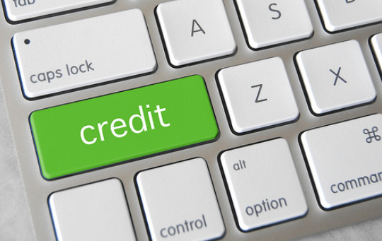 Input Customer's Credit Application